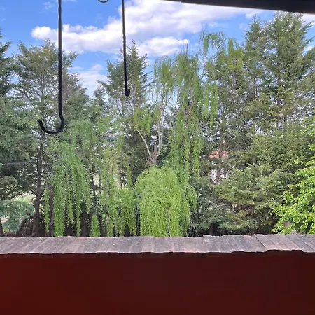 Bed & Breakfast Podere Vignalago