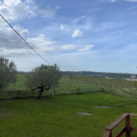 Podere Vignalago Micarone