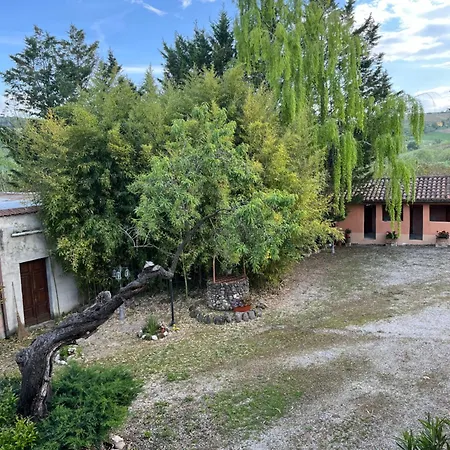 Podere Vignalago Bed & Breakfast *