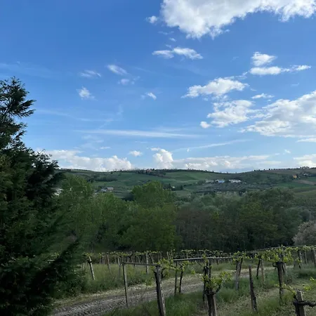 Bed & Breakfast Podere Vignalago 3*