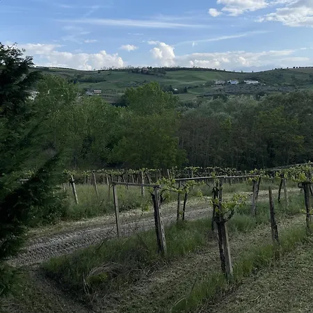 Bed & Breakfast Podere Vignalago Micherone