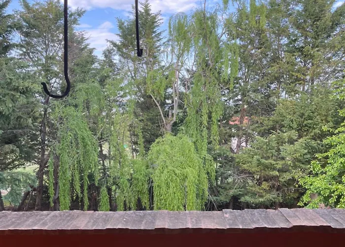 Bed & Breakfast Podere Vignalago