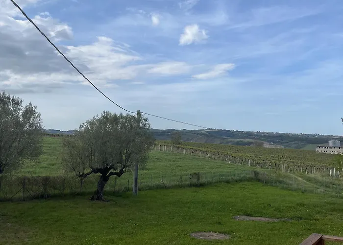 Podere Vignalago Micherone