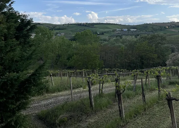 Bed & Breakfast Podere Vignalago Micherone